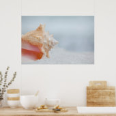 Poster Coque conique | Floride (Cuisine)