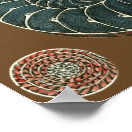 Poster Coque de cacao (Coin)