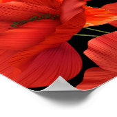 Poster Coquelicot (Coin)