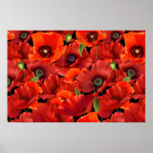 Poster Coquelicot (Devant)