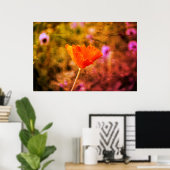Poster Coquelicot de chiffon orange et mur (Bureau à domicile)