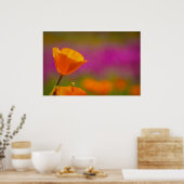Poster coquelicot et rose (Cuisine)