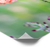 Poster Coquelicot Rouge Éclatant (Coin)