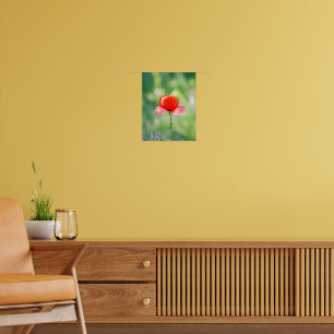 Poster Coquelicot Rouge Éclatant