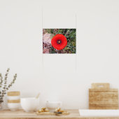Poster Coquelicot sauvage (Cuisine)