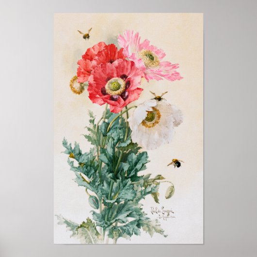 Poster Coquelicots et abeilles par Paul de Longpré (Devant)