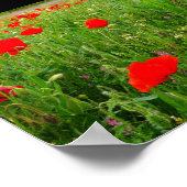 Poster Coquelicots et Fleurs Sauvages (Coin)