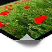 Poster Coquelicots et Fleurs Sauvages (Coin)