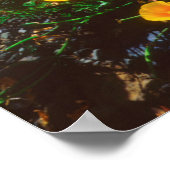 Poster Coquelicots le long de la côte Pacifique (Coin)