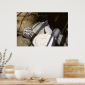 Poster Coques (Cuisine)