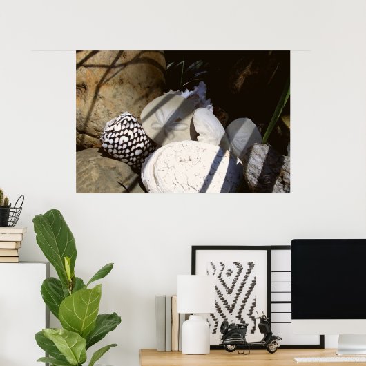 Poster Coques (Bureau à domicile)