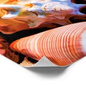 Poster Coques 1 Alt (Coin)