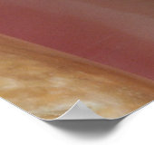 Poster Coques conch (Coin)