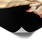 Poster Coques de conques artistiques (Coin)