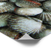 Poster Coques de coques de sang (Coin)