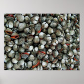 Poster Coques de coques de sang (Devant)