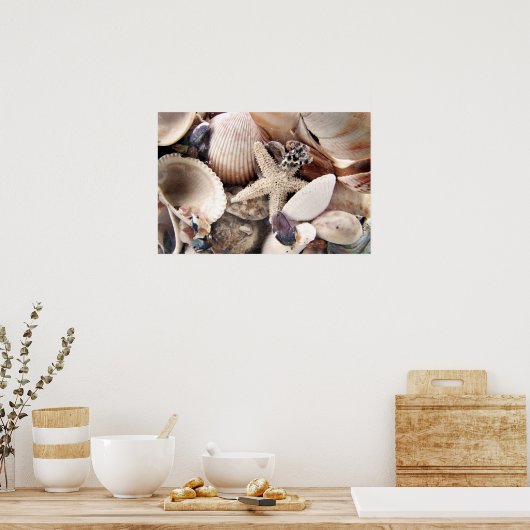 Poster Coques de mer (Cuisine)