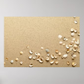 Poster Coques De Mer Sur Le Sable (Devant)