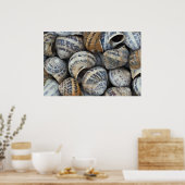 Poster Coques de physe (Cuisine)