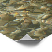 Poster Coques sous l'eau de ruissellement (Coin)