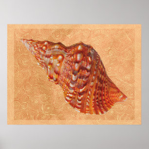 Poster Coquillage de plage vintage