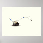 Poster Coquillage et collage d'ivoire (Devant)