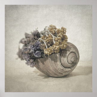 Poster Coquillage nO.2