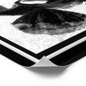 Poster Coquillage noir et blanc Tropical Printable Art (Coin)