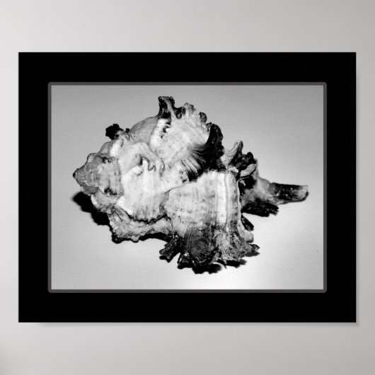 Poster Coquillage noir et blanc Tropical Printable Art (Devant)