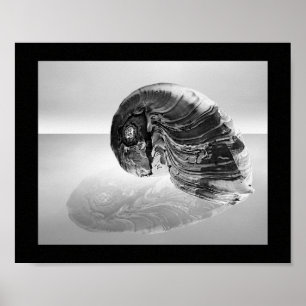 Poster Coquillage noir et blanc Tropical Printable Art
