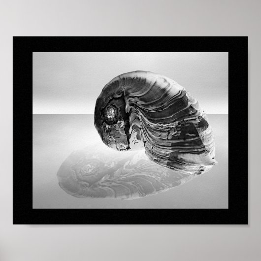 Poster Coquillage noir et blanc Tropical Printable Art (Devant)