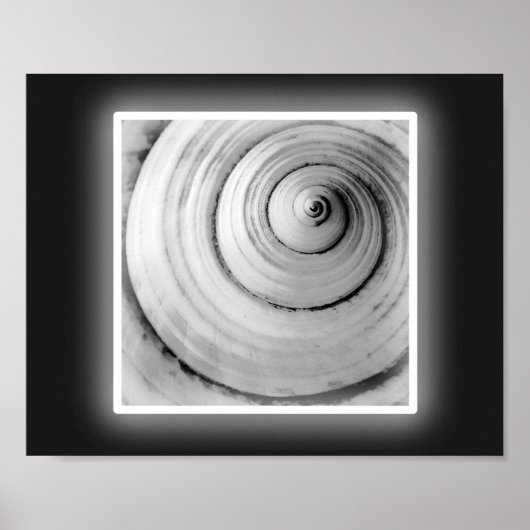 Poster Coquillage noir et blanc Tropical Printable Art (Devant)