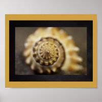Coquillage noir et or Tropical Printable Art