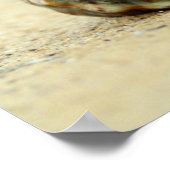 Poster Coquillage Seul Sur La Plage (Coin)