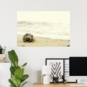 Poster Coquillage Seul Sur La Plage (Bureau à domicile)
