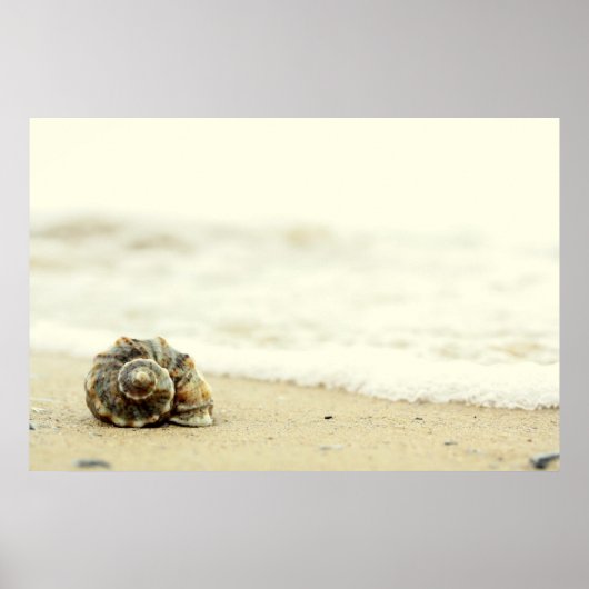 Poster Coquillage Seul Sur La Plage (Devant)
