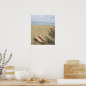 Poster Coquillage sur la plage de sable (Cuisine)