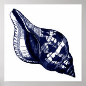Poster Coquillage Tulip en bleu (Devant)