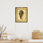Poster Coquillage Vintage rustique (Cuisine)
