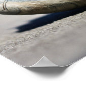 Poster Coquillages (Coin)