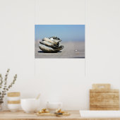 Poster Coquillages (Cuisine)