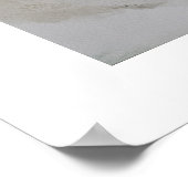 Poster Coquillages (Coin)