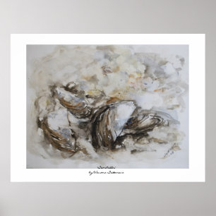 Poster Coquillages