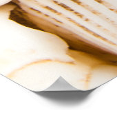 Poster Coquillages arrière - plan : thème marin. (Coin)