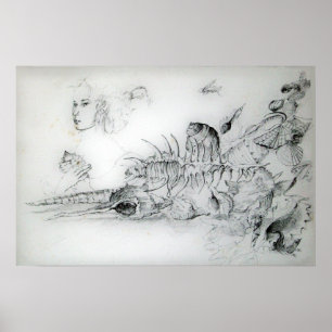 POSTER COQUILLAGES AVEC JEUNE FILLE
