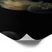 Poster Coquillages blancs (Coin)