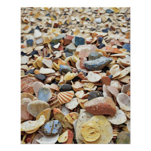 Poster Coquillages colorés sur la plage de sable dans un