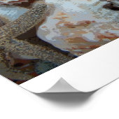 Poster Coquillages de Floride (Coin)