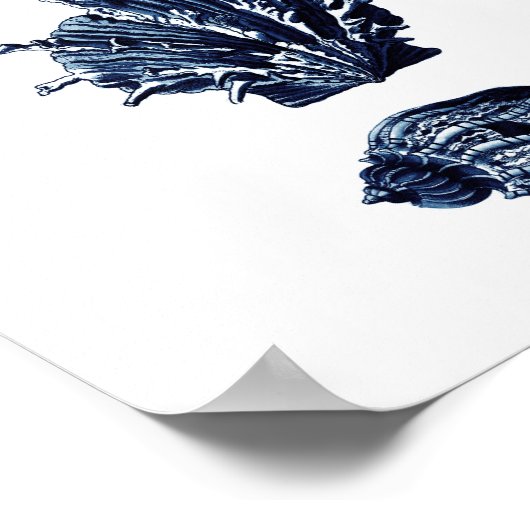 Poster Coquillages Décor bleu marine (Coin)