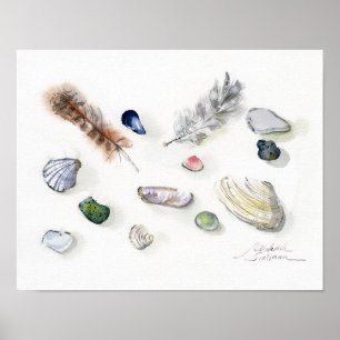 Poster Coquillages Galets et Plumes Aquarelle